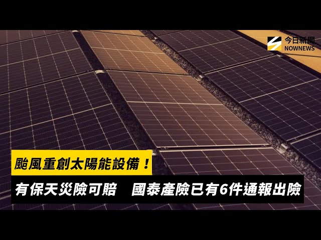 颱風重創太陽能設備 有保天災險可獲理賠