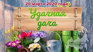 На «Радио России» в Омске вышел в эфир первый выпуск программы для садоводов «Удачная дача»