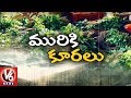 Ground Report on Leafy Vegetables in Hyderabad City