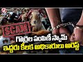 ACB Officials Speed Up Investigation In Sheep Distribution Scam Case | V6 News