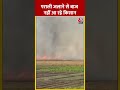 Punjab के Moga में पराली जला रहे हैं किसान #shorts #shortsvideo #viralvideo #pollution  - 00:51 min - News - Video