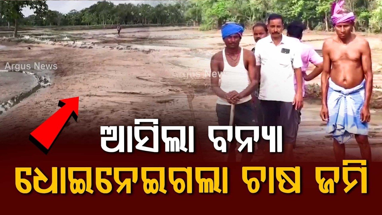 Sonepur Flood News: Heavy Rain & Ong River Flood Destroy Acres Of Crops | Argus News