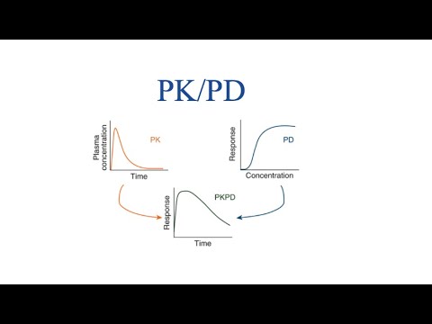Overview of PK-PD relationship / Drug Dynamic