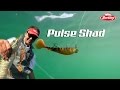 Leurre Pulse Shad 11cm Berkley 