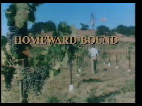 Homeward Bound'