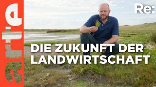 Bedrohte Lebensmittel: Olivenöl | ARTE Re: