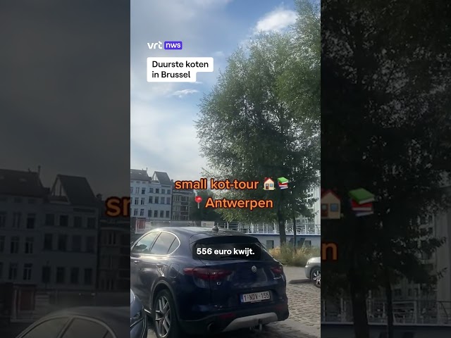 Duurste koten in Brussel