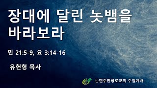 장대에 달린 놋뱀을 바라보라