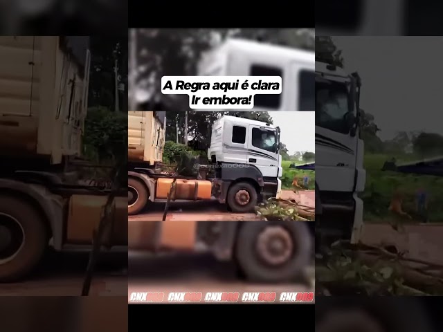 Chofer é de rocha!
