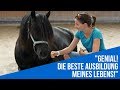 Coaching mit Pferden - Ausbildung zum pferdeunterstützten Coach Schweiz Österreich Stuttgart Rostock