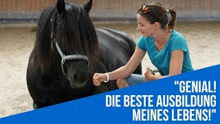 Coaching mit Pferden - Ausbildung zum pferdeunterstützten Coach Schweiz, Österreich, Stuttgart, Rostock
