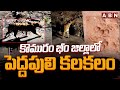 కొమురం భీం జిల్లాలో పెద్దపులి కలకలం | Tiger Chaos in Komaram Bheem District | ABN Telugu