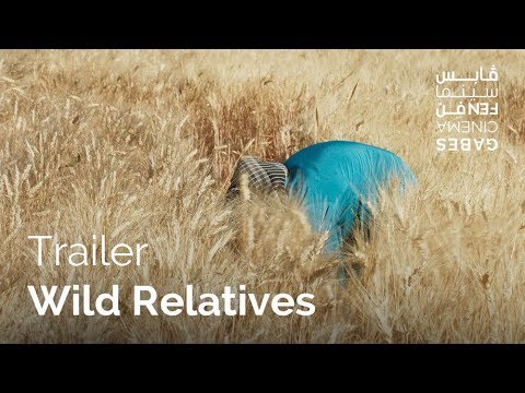 Wild Relatives'