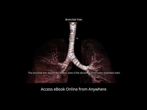 Anatomage Announces Its Upcoming eBook For Students To Experience and Interact with True-Human Cadavers Online