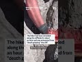 Stranded hiker on California cliff rescued