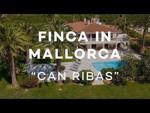 Property video