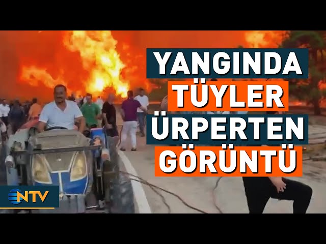 Bursa'da Aynı Anda 3 Ayrı Noktada Yangın! Köylüler Yardım Ederken Alevler Yükseldi | NTV