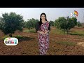Mango Cultivation Techniques | మామిడి పూతను కాపాడుకునే పద్ధతులు | Matti Manishi | 10TV News  - 04:43 min - News - Video