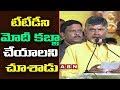 PM Modi is Publicity PM : Chandrababu  at TDP Mahanadu