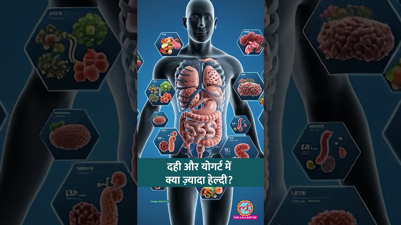Curd, Yogurt में क्या फ़र्क है और दोनों में कौन ज़्यादा Healthy है? #sehat #ltsehat #shorts