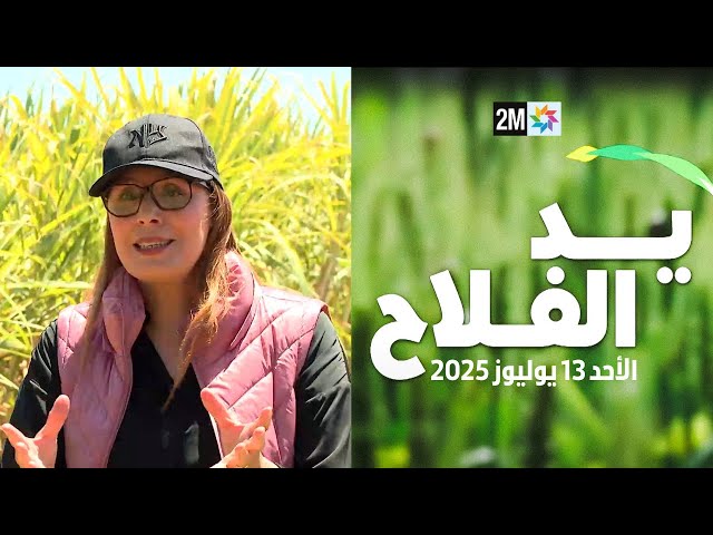 يد الفلاح : الأحد 13 يوليوز 2025