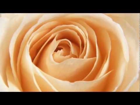 Li Guyi 李谷一 - 送我一支玫瑰花 Send me a Rose