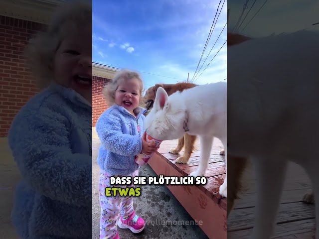 Nie hätte sie das von ihren Hunden erwartet 😅❤️