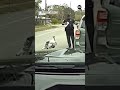 Fowl play: Florida sheriff’s deputy harassed by irritated turkey  - 00:48 min - News - Video