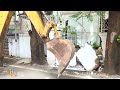 Pune : Large-scale Demolition of Construction Over 50k sq ft in Pune | Maharashtra | Latest News  - 03:21 min - News - Video