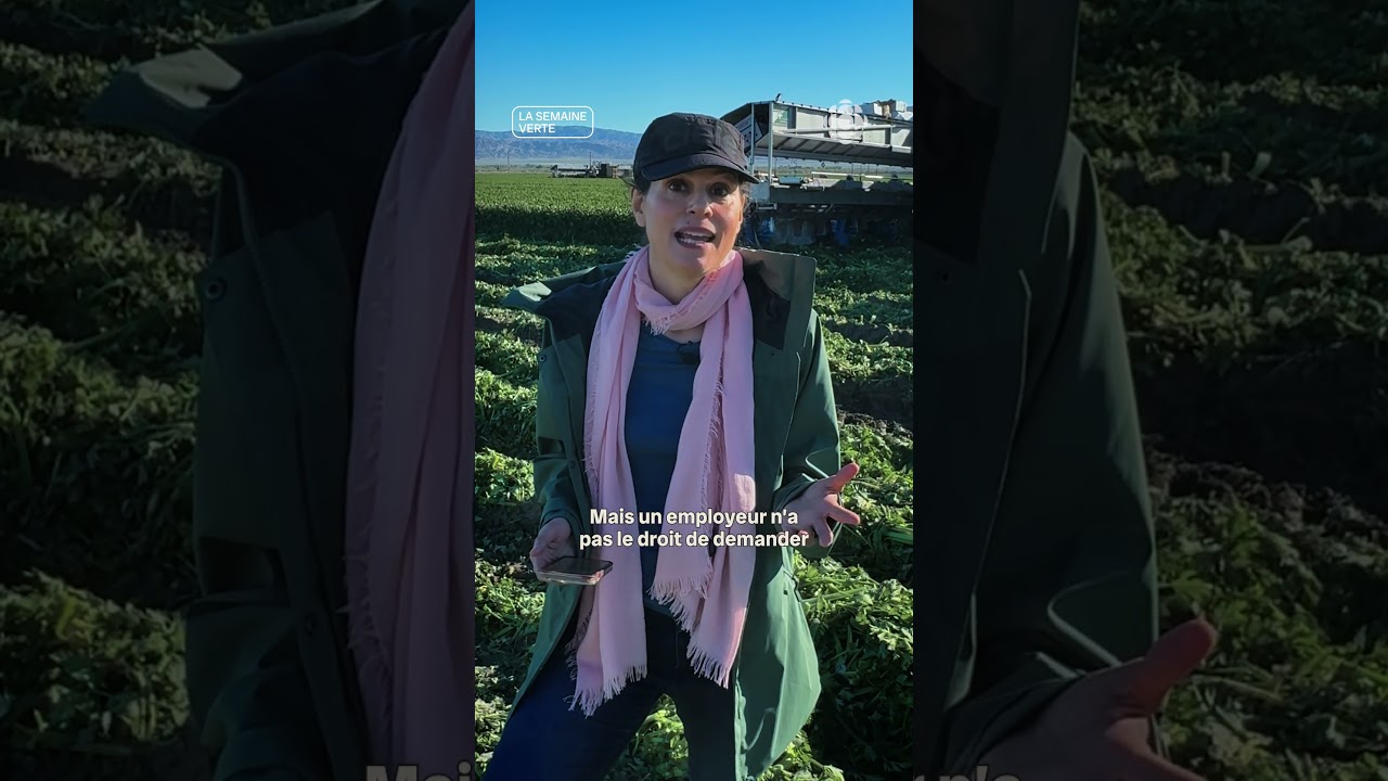 Californie : que deviendront les travailleurs agricoles sans papiers?