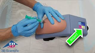 Intramuscular Injection Simulator - Upper Arm, 1009840 [P55/1], Injections and Punctures (Video)