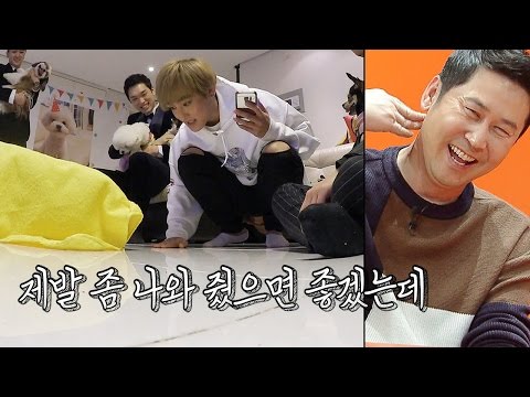 강타, 천재견 테스트에서 ‘얼음’이 된 애견에 애타는 외침 @미운 우리 새끼 26회 20170224
