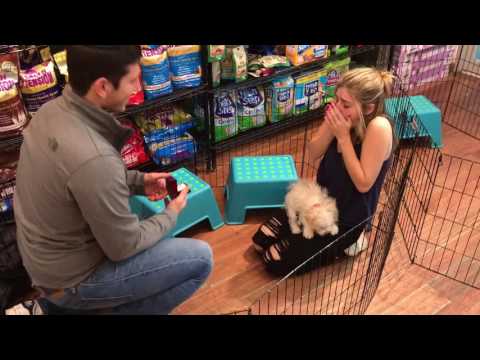 Guy proposes with puppy, girl nearly has heart attack