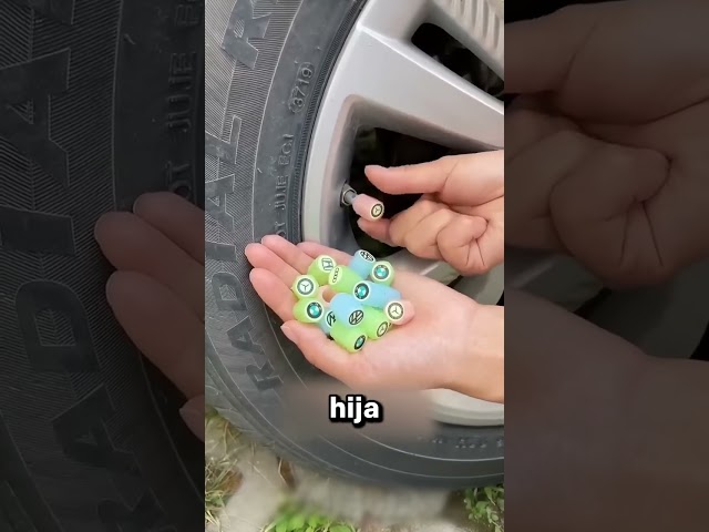 Necesitas Poner Este Accesorio en Tu Coche 🤩