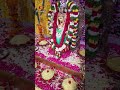 పూనకాలు తెప్పించే పాటతో 🔥💥 కంచి కామాక్షి అమ్మవారి 🕉️🙏 దర్శనం 🌺🏵️ #kotideepotsavam2023 #bhakthitv  - 00:31 min - News - Video