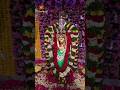 పూనకాలు తెప్పించే పాటతో 🔥💥 కంచి కామాక్షి అమ్మవారి 🕉️🙏 దర్శనం 🌺🏵️ #kotideepotsavam2023 #bhakthitv