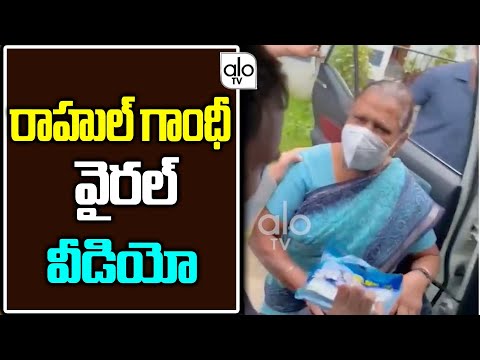 Congress leader Rahul Gandhi meets nurse who witnessed his birth, viral video Congress leader Rahul Gandhi meets nurse who witnessed his birth, viral video