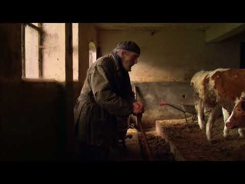 Boer Peer'