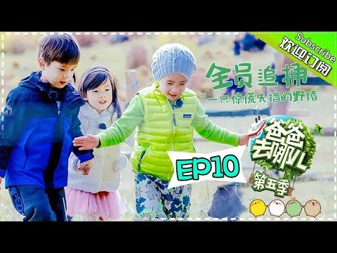 《爸爸去哪儿5》第10期完整版20171116: Jasper嗯哼默契满分赢比赛 篝火晚会爸爸团大秀舞技 Dad Where Are We Going S05【湖南卫视官方频道】