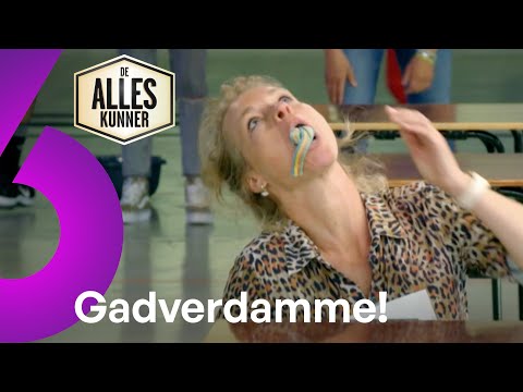 De Alleskunner'
