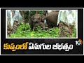 Farmer injured in elephants attack in Kuppam
