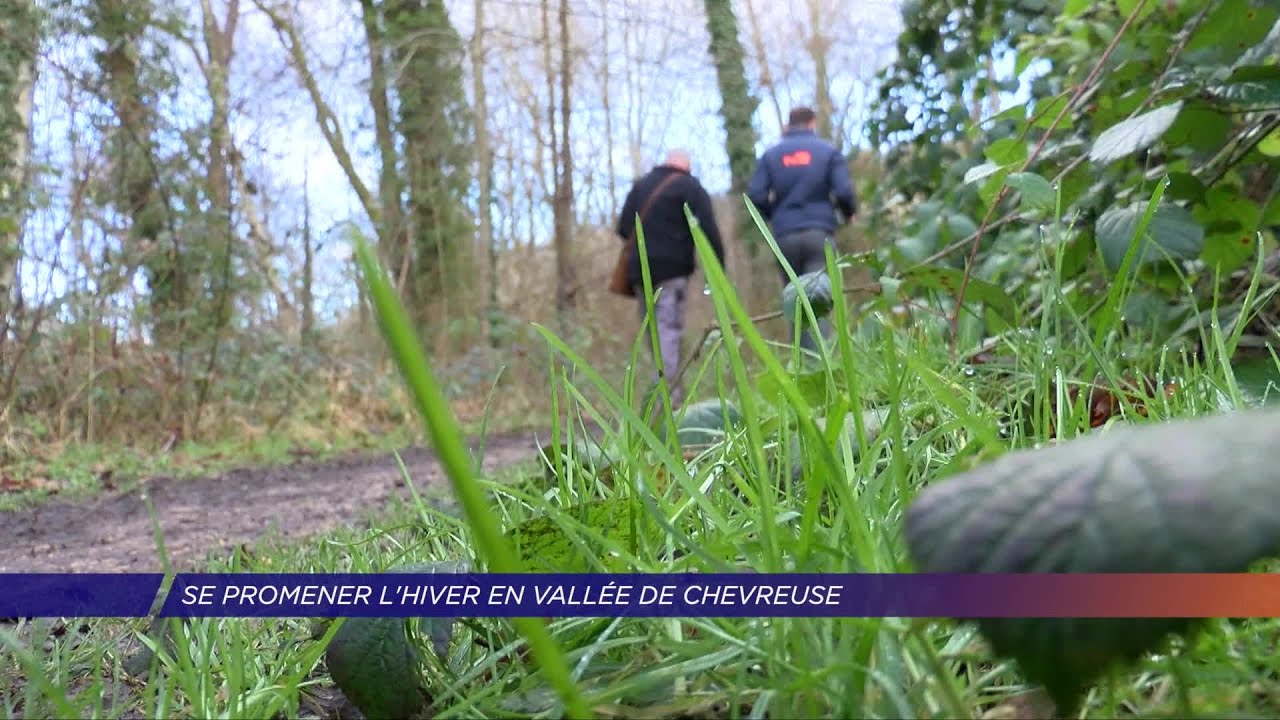 Yvelines | Se promener l’hiver en Haute Vallée de Chevreuse