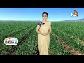 అధిక దిగుబడినిచ్చే ఉల్లి రకాలు సాగులో మెళకువలు | Onion Cultivation | Matti Manishi | 10TV  - 10:57 min - News - Video