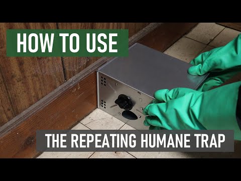 Repete Humane Mouse Trap