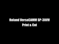 Roland SP-300V Print & Cut