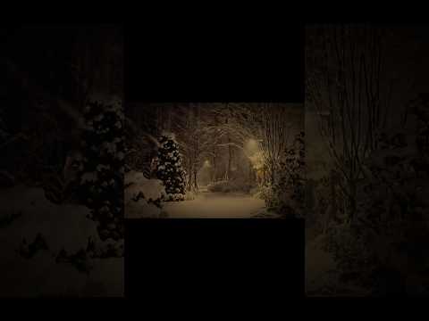 ☃️Wham! - Last Christmas (Lyrics)#shorts #lyrics #wham #lastchristmas #christmas #music #song #vibes