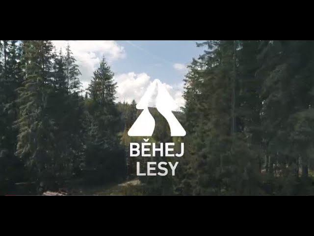 Běhej lesy Vysočina 2019