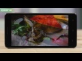 Nomi i550 Space - крупный dual-sim смартфон с низкой ценой - Видеодемонстрация от Comfy.ua