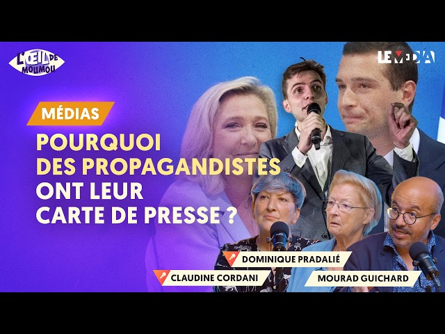 JOURNALISME OU PROPAGANDE / CE QUE VOUS NE SAVEZ PAS SUR LES ÉDITOCRATES QUI SQUATTENT LA TÉLÉ