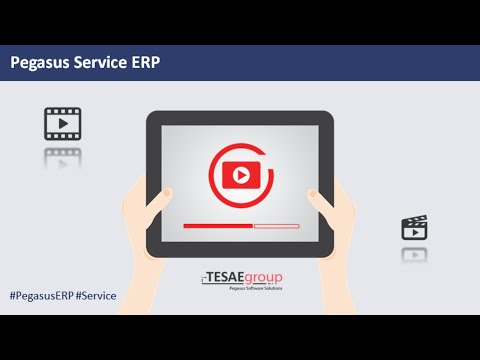 Pegasus Service ERP Start UP